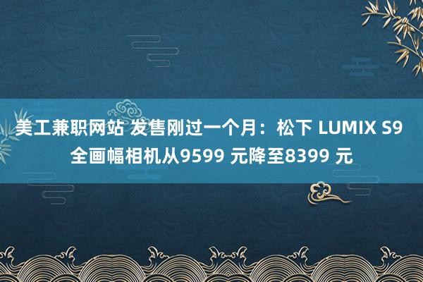 美工兼职网站 发售刚过一个月：松下 LUMIX S9 全画幅相机从9599 元降至8399 元