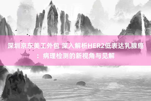 深圳京东美工外包 深入解析HER2低表达乳腺癌：病理检测的新视角与见解