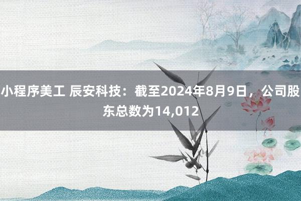 小程序美工 辰安科技：截至2024年8月9日，公司股东总数为14,012