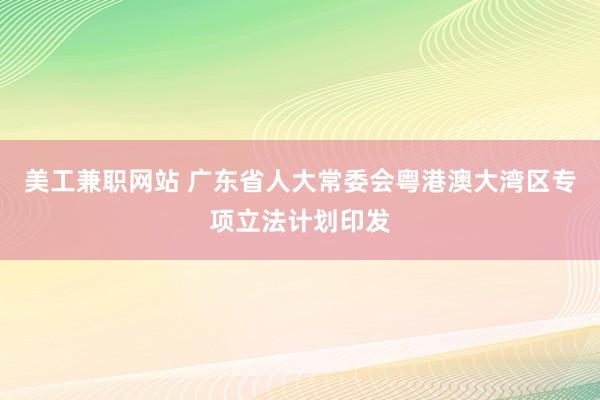 美工兼职网站 广东省人大常委会粤港澳大湾区专项立法计划印发