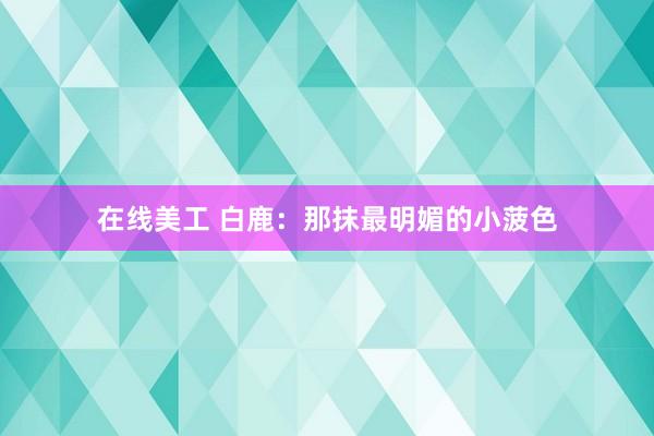 在线美工 白鹿：那抹最明媚的小菠色