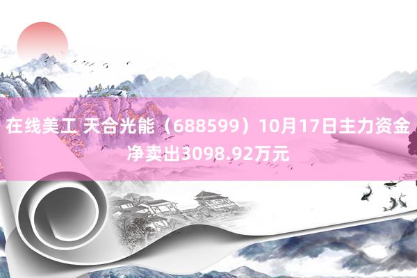 在线美工 天合光能（688599）10月17日主力资金净卖出3098.92万元